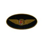 01.42.0042---Comandante-Aeronave